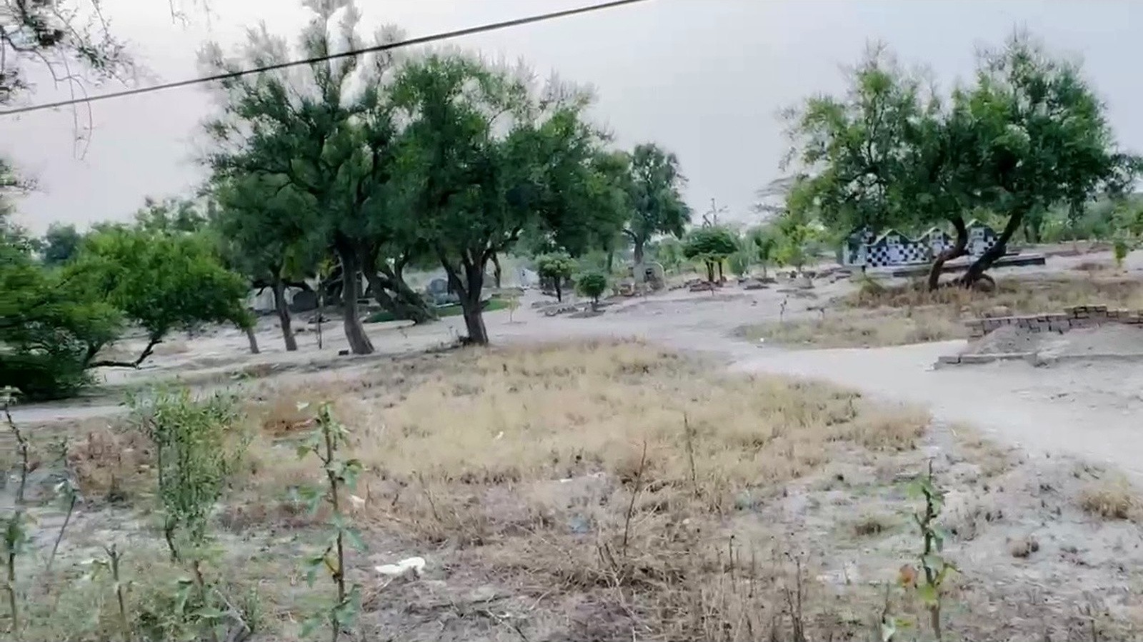 Dry open land and trees surrounding a rural community